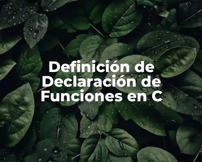 Definición de Declaración de Funciones en C