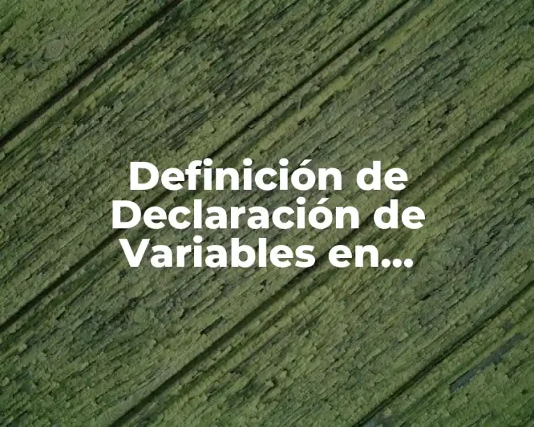 Definición de Declaración de Variables en Programación
