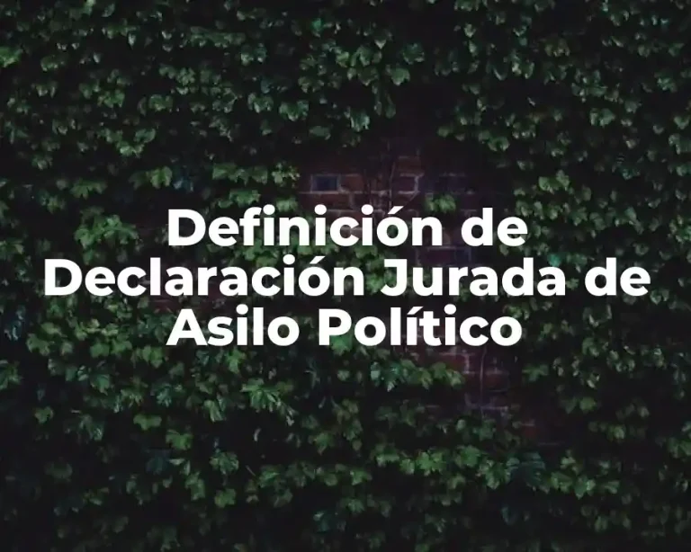 Definición de Declaración Jurada de Asilo Político
