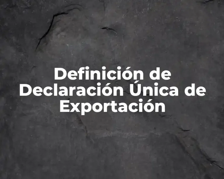 Definición de Declaración Única de Exportación