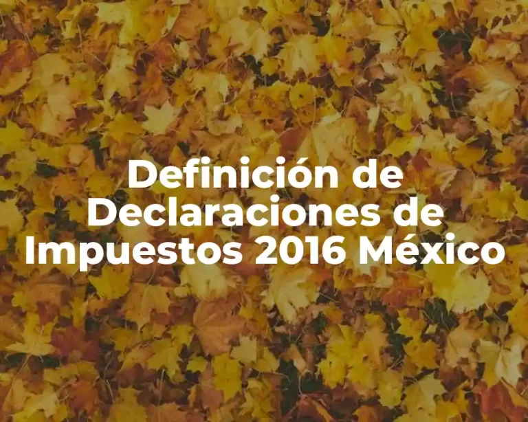 Definición de Declaraciones de Impuestos 2016 México