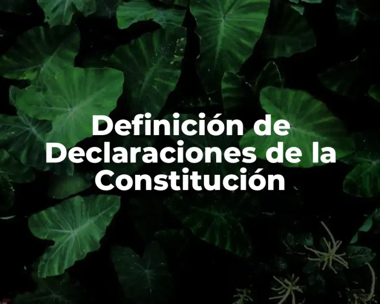 Definición de Declaraciones de la Constitución