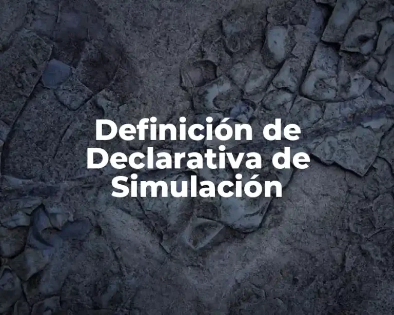Definición de Declarativa de Simulación