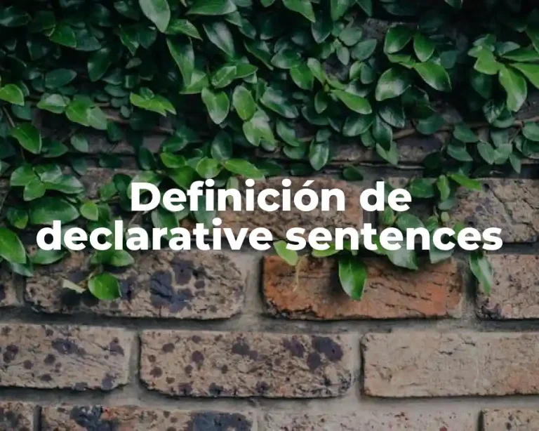 Definición de declarative sentences