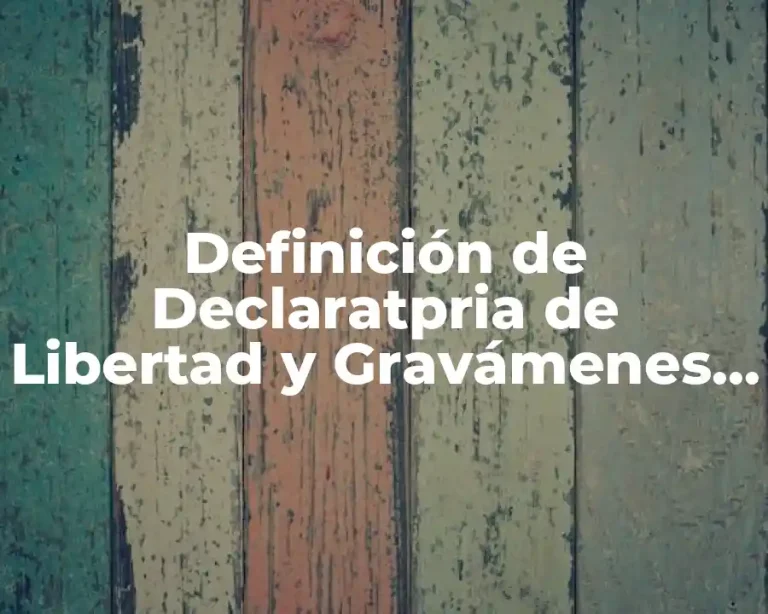Definición de Declaratpria de Libertad y Gravámenes Reales