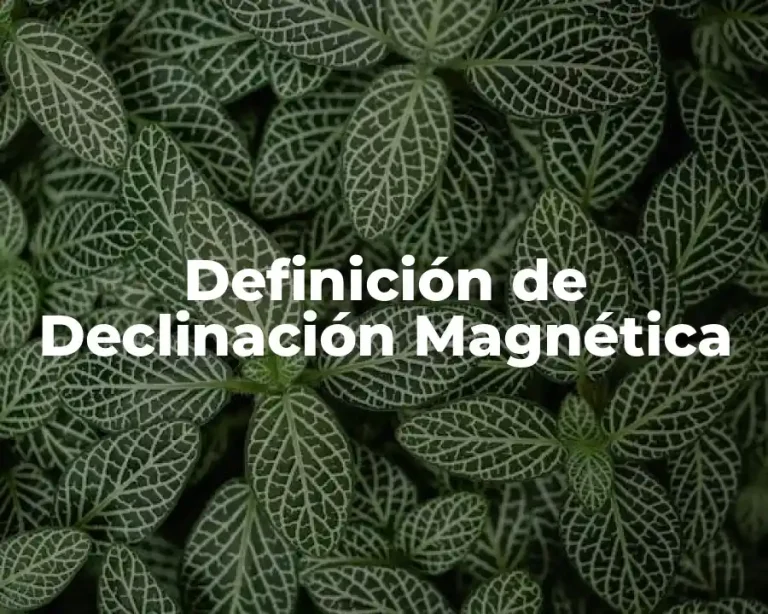 Definición de Declinación Magnética