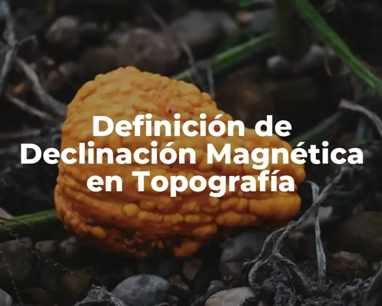 Definición de Declinación Magnética en Topografía
