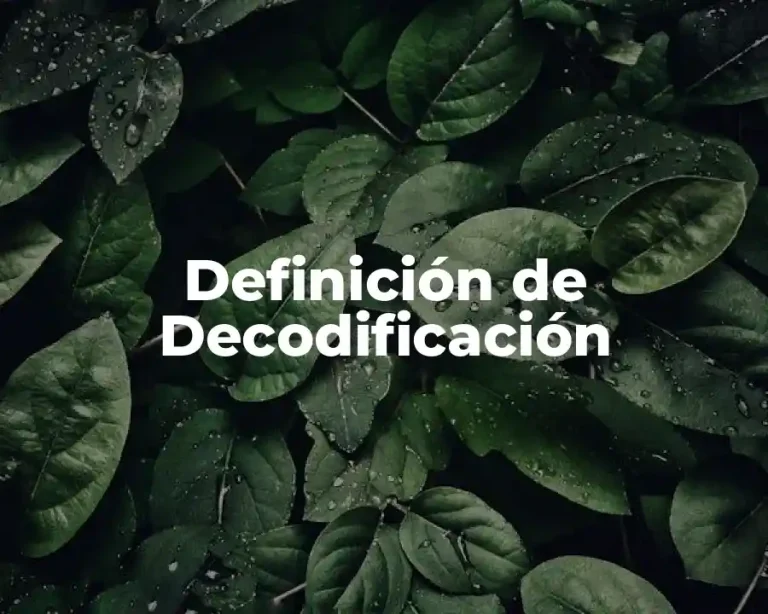 Definición de Decodificación