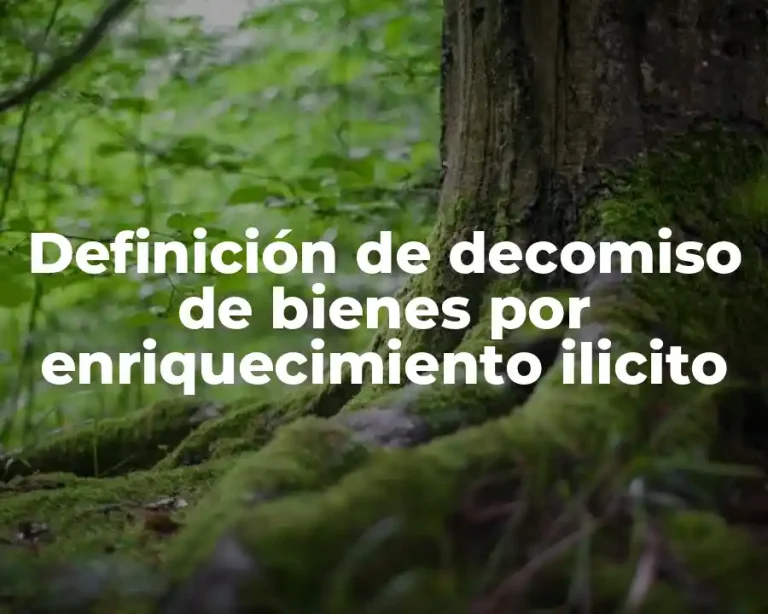 Definición de decomiso de bienes por enriquecimiento ilicito