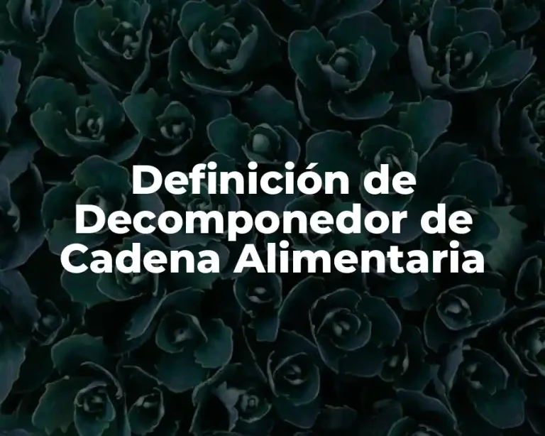 Definición de Decomponedor de Cadena Alimentaria