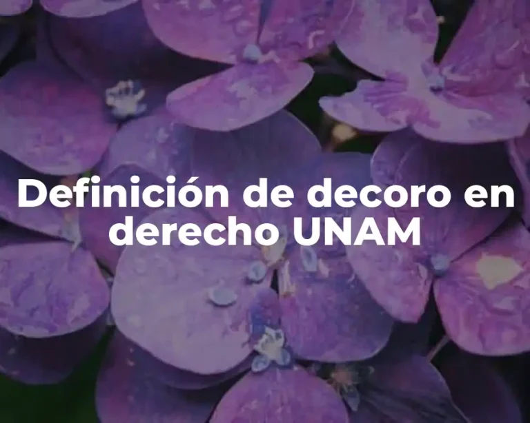 Definición de decoro en derecho UNAM