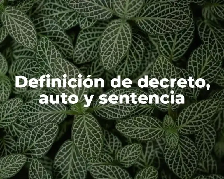 Definición de decreto, auto y sentencia