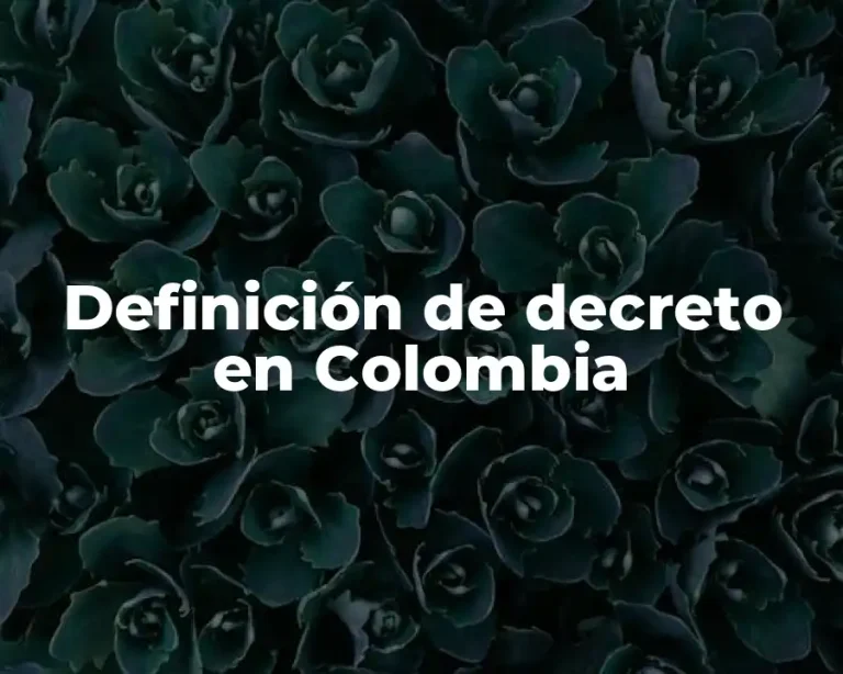 Definición de decreto en Colombia