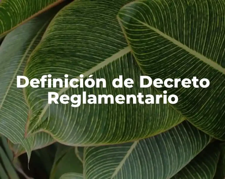 Definición de Decreto Reglamentario