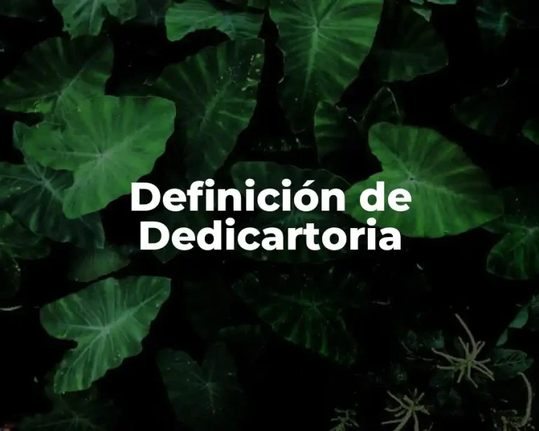 Definición de Dedicartoria