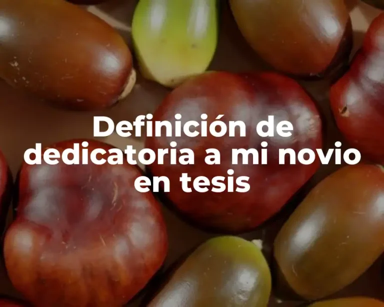 Definición de dedicatoria a mi novio en tesis