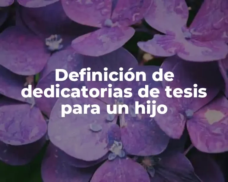 Definición de dedicatorias de tesis para un hijo
