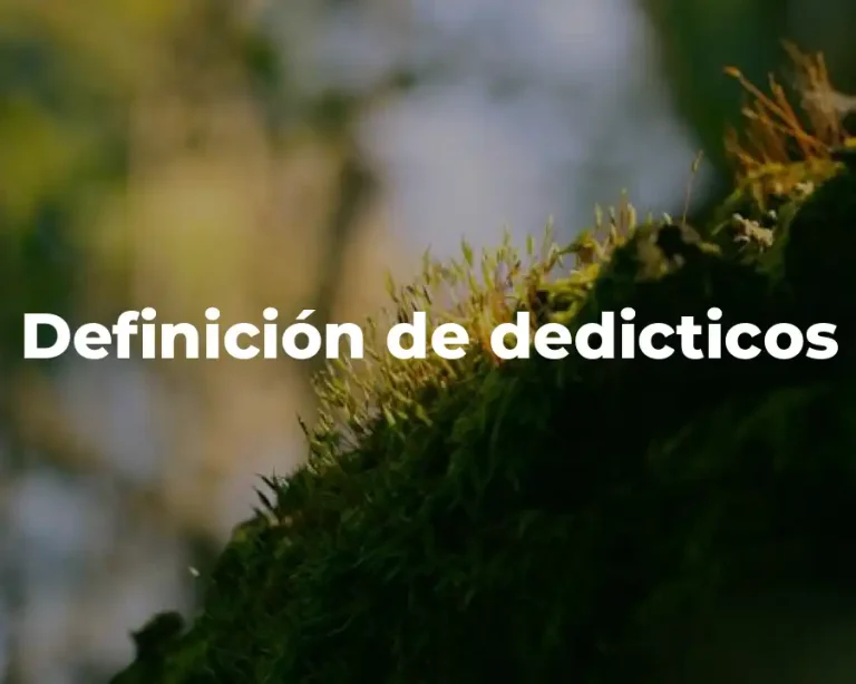Definición de dedicticos