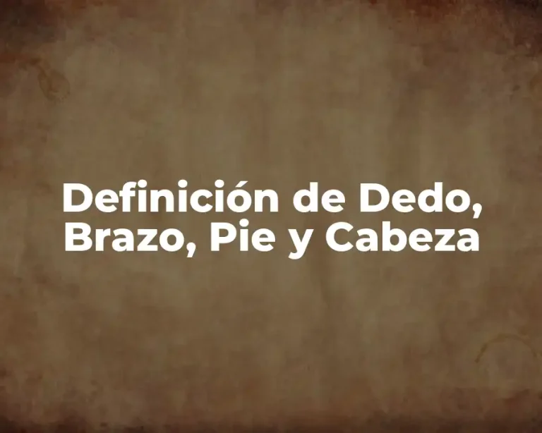 Definición de Dedo, Brazo, Pie y Cabeza