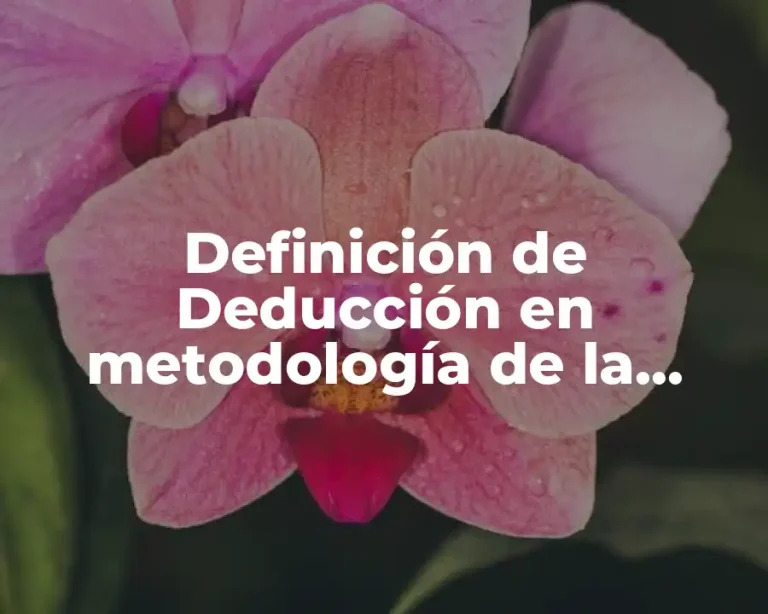 Definición de Deducción en metodología de la investigación