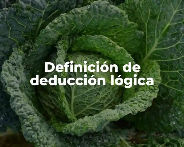 Definición de deducción lógica