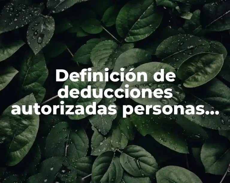 Definición de deducciones autorizadas personas morales