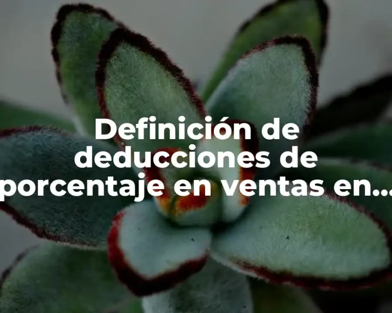 Definición de deducciones de porcentaje en ventas en cuentas incobrables