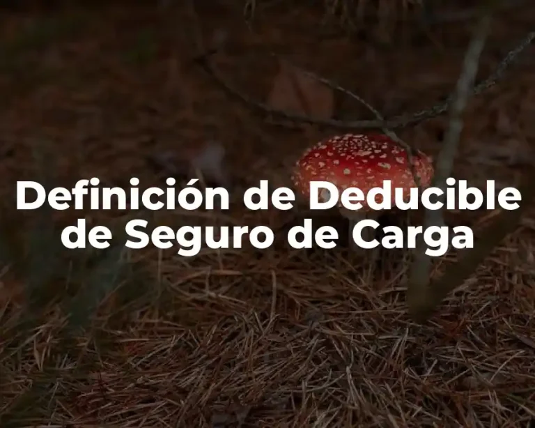 Definición de Deducible de Seguro de Carga