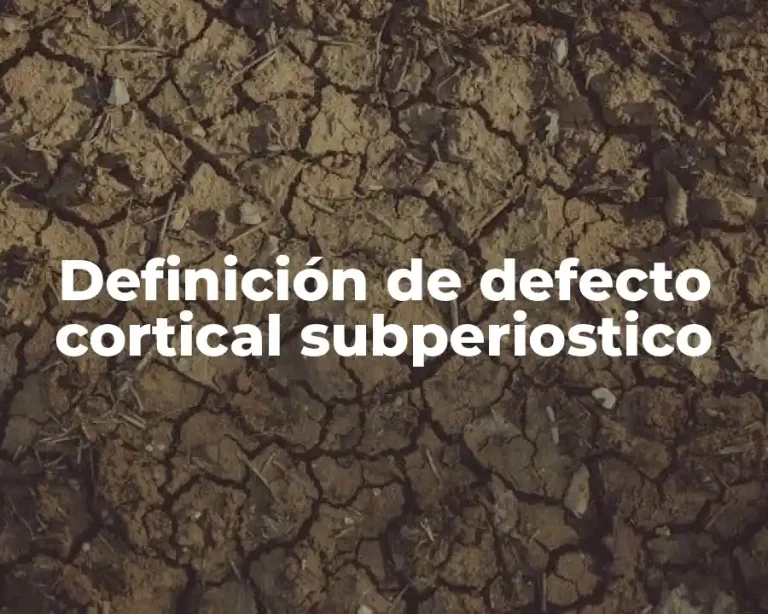 Definición de defecto cortical subperiostico