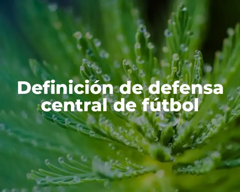 Definición de defensa central de fútbol