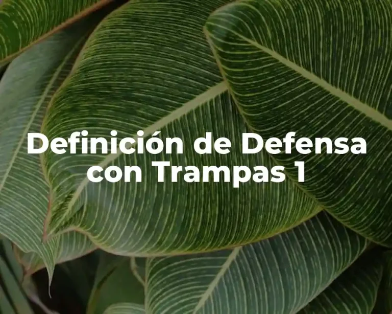 Definición de Defensa con Trampas 1