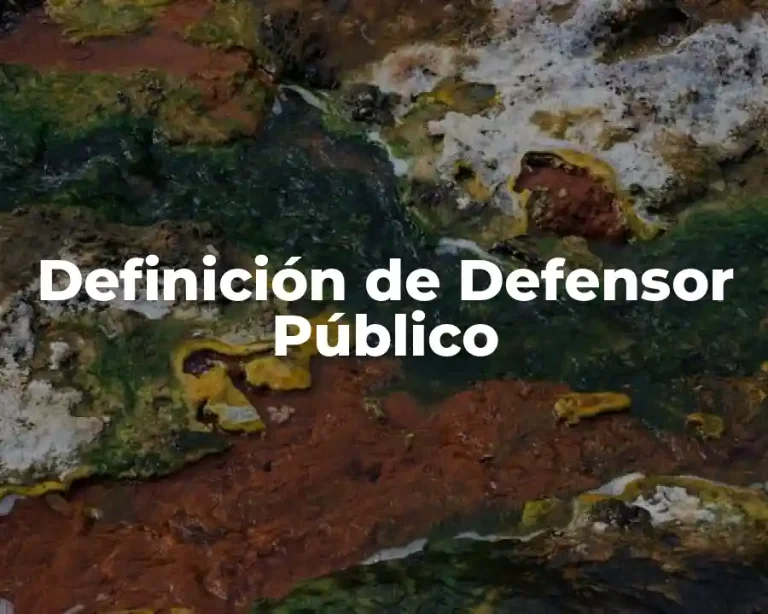 Definición de Defensor Público