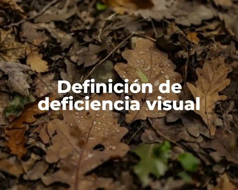 Definición de deficiencia visual