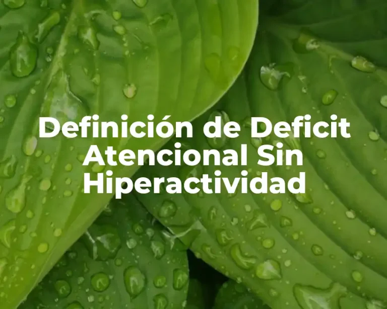 Definición de Deficit Atencional Sin Hiperactividad