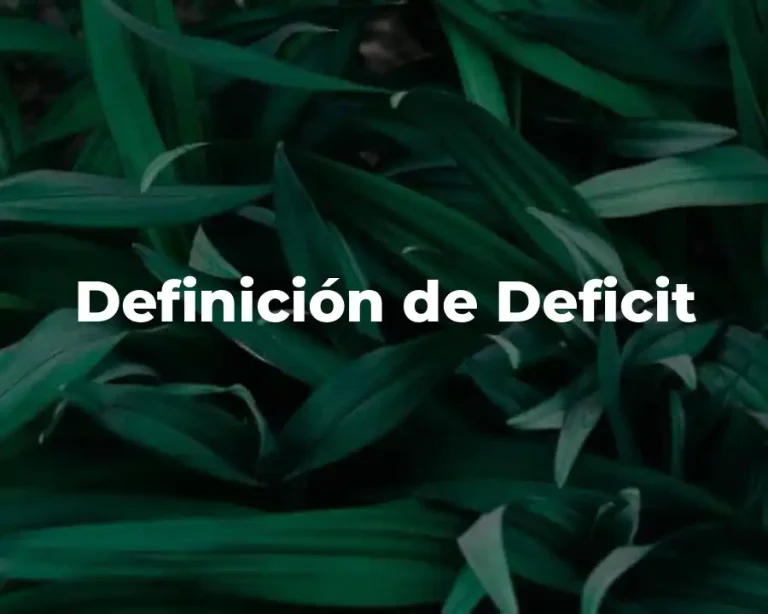 Definición de Deficit