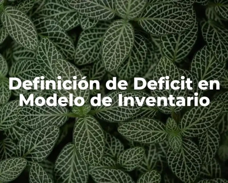 Definición de Deficit en Modelo de Inventario