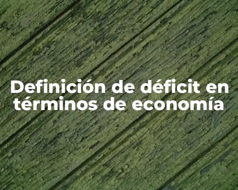 Definición de déficit en términos de economía