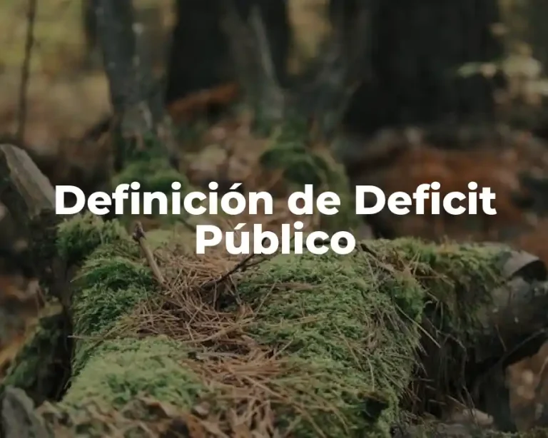 Definición de Deficit Público