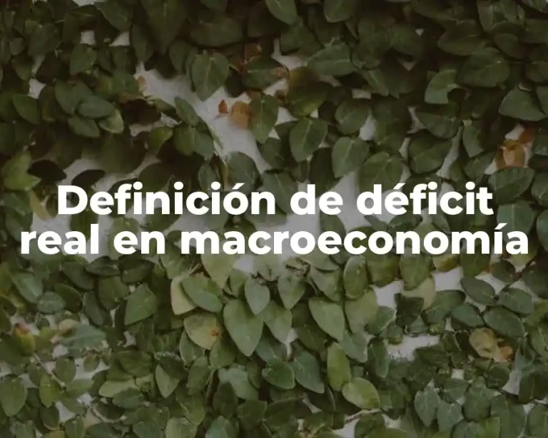 Definición de déficit real en macroeconomía