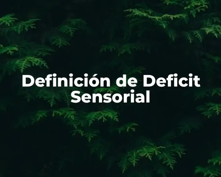 Definición de Deficit Sensorial