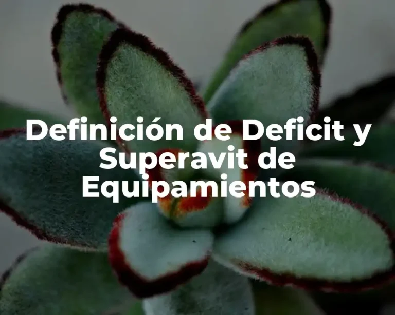 Definición de Deficit y Superavit de Equipamientos