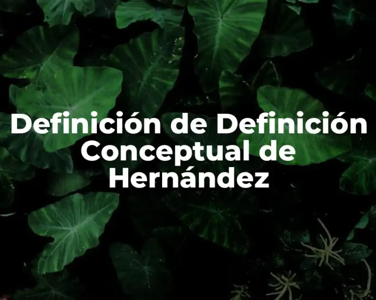 Definición de Definición Conceptual de Hernández
