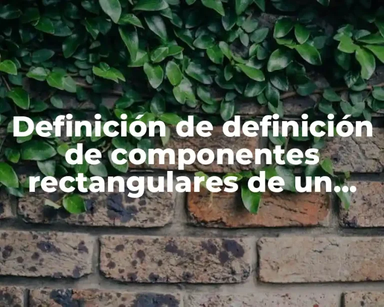 Definición de definición de componentes rectangulares de un vector