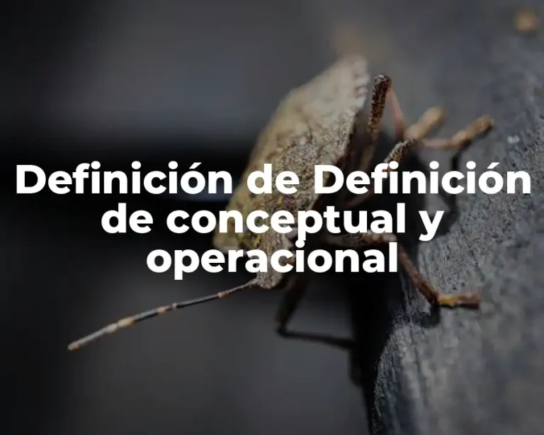 Definición de Definición de conceptual y operacional