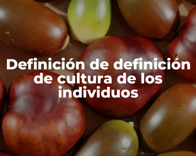 Definición de definición de cultura de los individuos