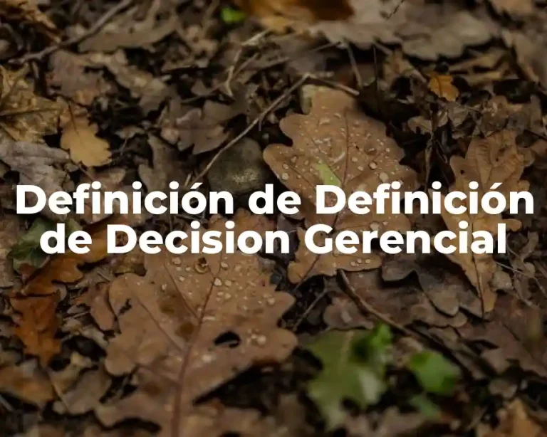 Definición de Definición de Decision Gerencial