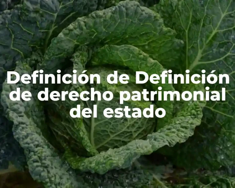 Definición de Definición de derecho patrimonial del estado