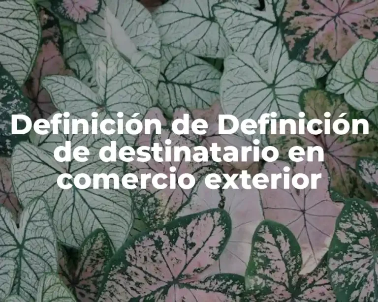Definición de Definición de destinatario en comercio exterior