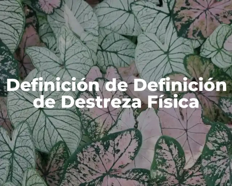 Definición de Definición de Destreza Física