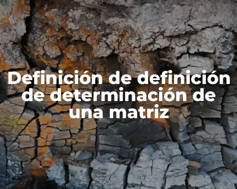 Definición de definición de determinación de una matriz